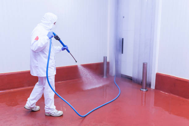 Best Sidewalk and Walkway Cleaning  in Ecru, MS