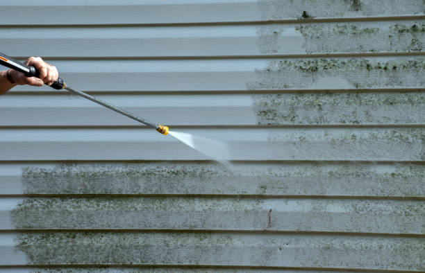Best Residential House Exterior Washing  in Ecru, MS